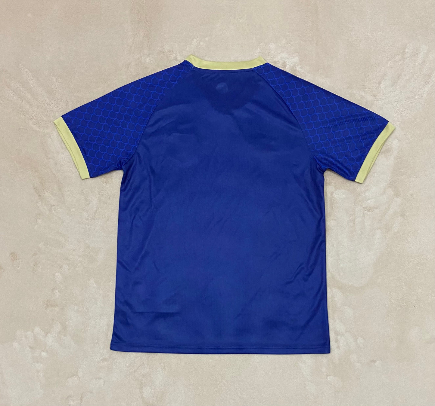 Japan 24/25 Special Jersey