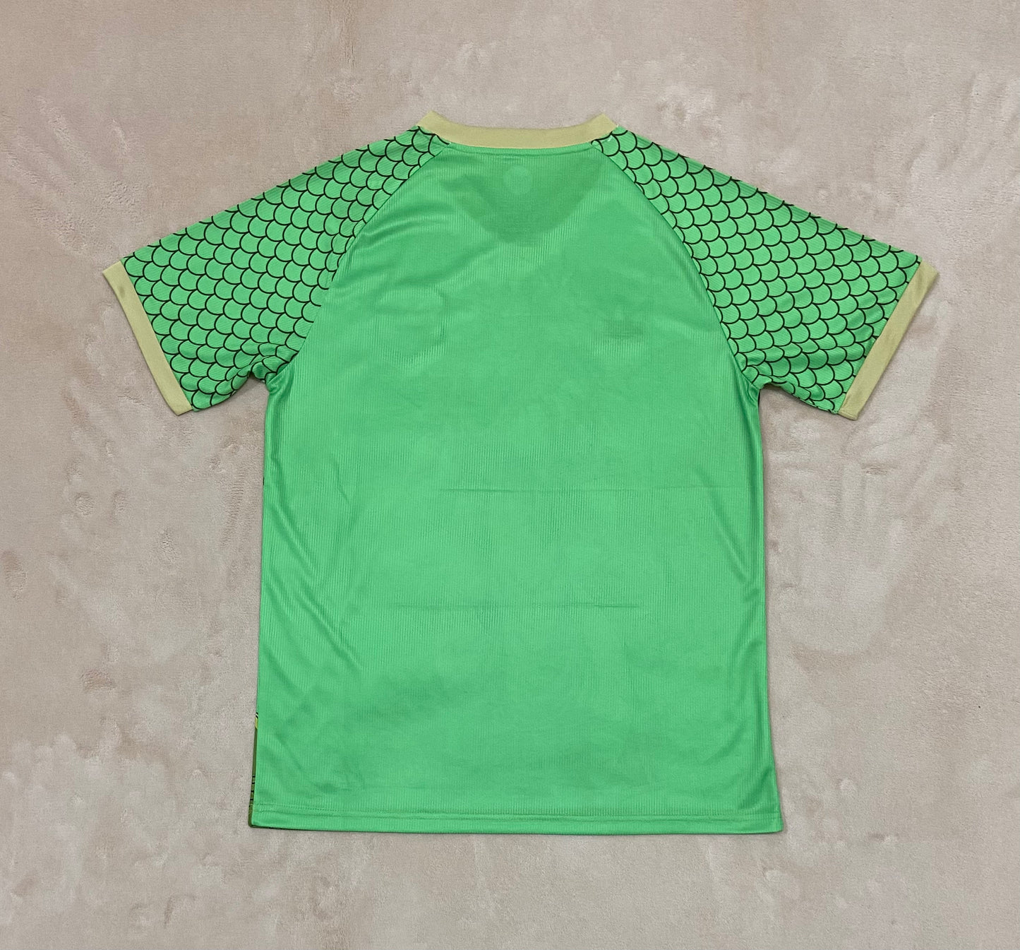 Japan 24/25 Special Jersey