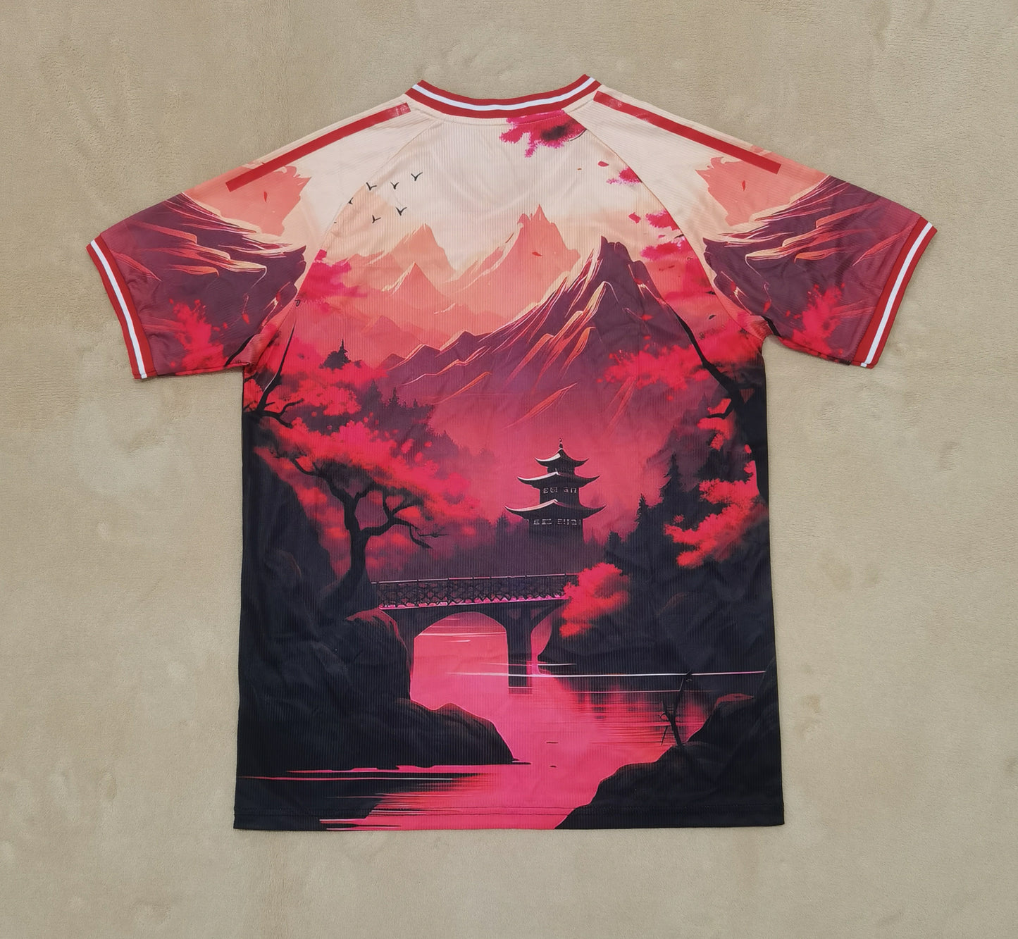 Japan 24/25 Special Jersey