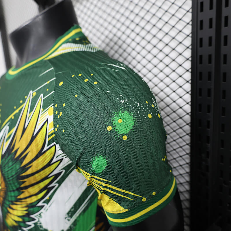 Brazil 24/25 Special Eagle kit