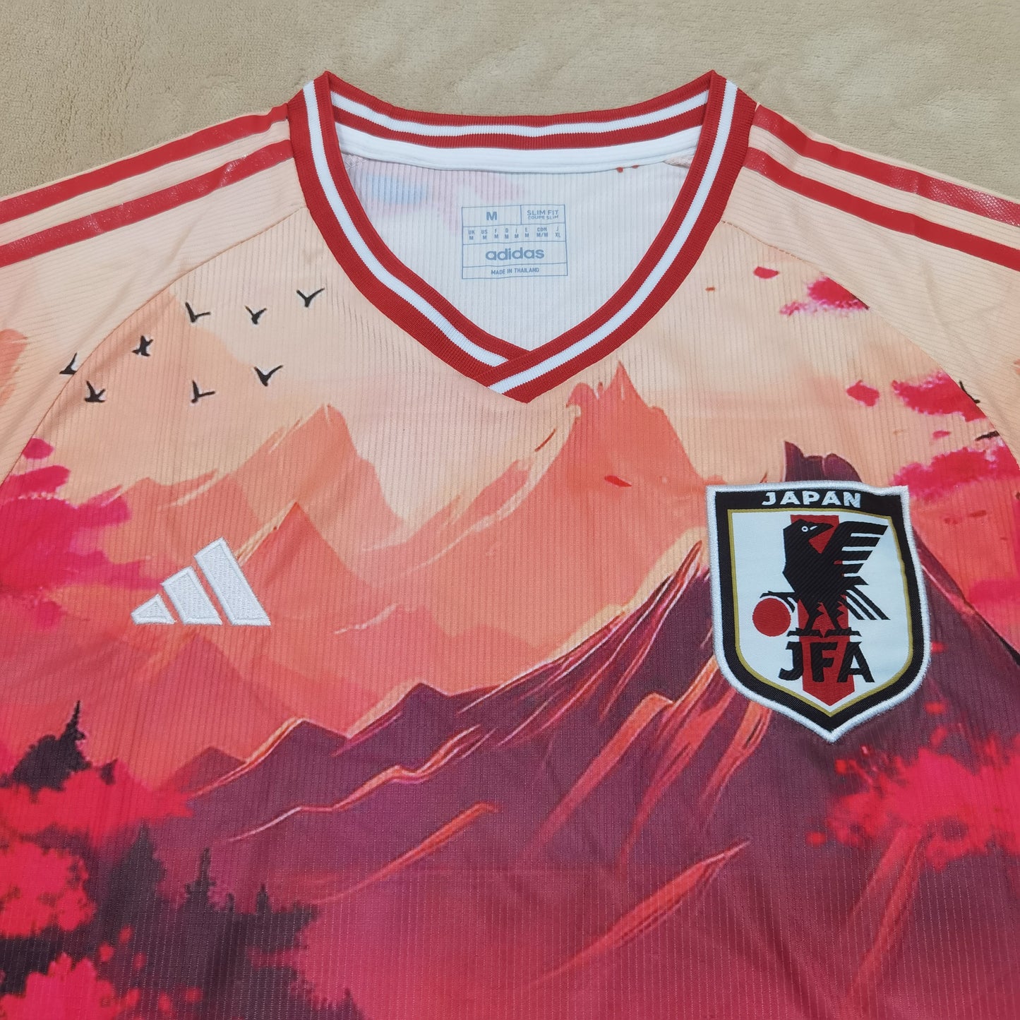 Japan 24/25 Special Jersey