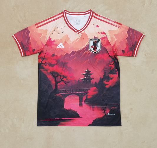 Japan 24/25 Special Jersey